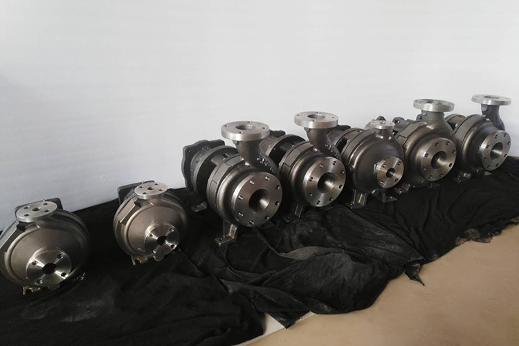 3196 Bare Shaft Pumps in 316SS Material for Asian Market