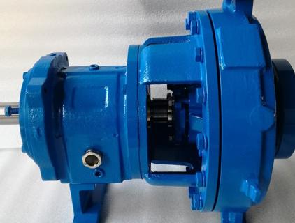 3196 Bare Shaft Pumps in 316SS Material for South America Market
